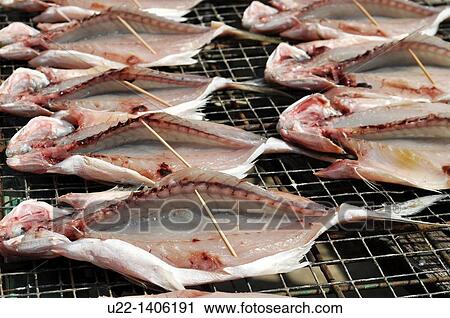 Hong Kong: fish drying under the sun at Tai O village, on Lantau Island View Large Photo Image Stock Image - Hong Kong: fish drying under the sun at Tai O village, on Lantau Island. Fotosearch