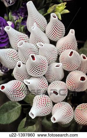 Stock Image - Hong Kong: flowers wrapped for protection, sold in Tsim Sha Tsui. Fotosearch