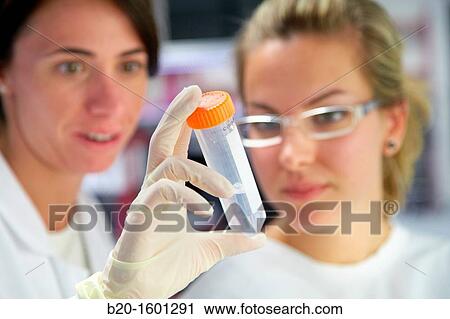 Hood biological BioMEMS laboratory Research of surface chemistry and biological interactions for BioMEMS bio functionalization View Large Photo Image Stock Image - Hood biological BioMEMS laboratory Research of surface chemistry and biological interactions for BioMEMS bio functionalization. Fotosearch