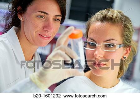Hood biological BioMEMS laboratory Research of surface chemistry and biological interactions for BioMEMS bio functionalization View Large Photo Image Stock Image - Hood biological BioMEMS laboratory Research of surface chemistry and biological interactions for BioMEMS bio functionalization. Fotosearch