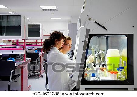 Hood biological BioMEMS laboratory Research of surface chemistry and biological interactions for BioMEMS bio functionalization View Large Photo Image Stock Photo - Hood biological BioMEMS laboratory Research of surface chemistry and biological interactions for BioMEMS bio functionalization. Fotosearch