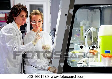 Stock Photo - Hood biological BioMEMS laboratory Research of surface chemistry and biological interactions for BioMEMS bio functionalization. Fotosearch
