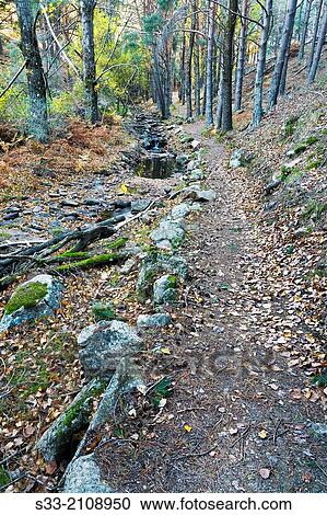 Hornillo stream in the Sierra de Guadarrama. Robledondo. Madrid. Spain. View Large Photo Image Stock Image - Hornillo stream in the Sierra de Guadarrama. Robledondo. Madrid. Spain.. Fotosearch