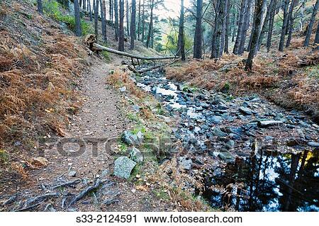 Hornillo stream in the Sierra de Guadarrama. Robledondo. Madrid. Spain. View Large Photo Image Stock Image - Hornillo stream in the Sierra de Guadarrama. Robledondo. Madrid. Spain.. Fotosearch