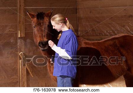 Stock Photo - Horse and trainer. Fotosearch