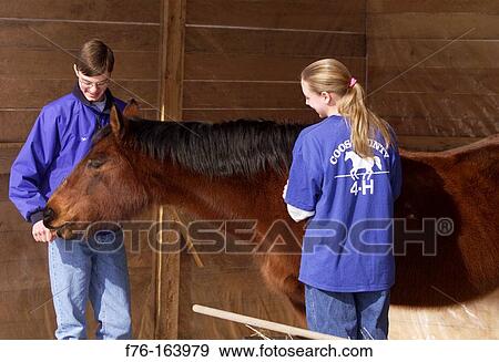 Horse and trainers View Large Photo Image Stock Photo - Horse and trainers. Fotosearch