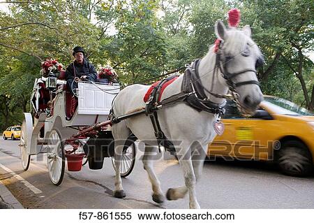 Horse-drawn Carriage in Central Park, New York City, USA View Large Photo Image Stock Photography - Horse-drawn Carriage in Central Park, New York City, USA. Fotosearch
