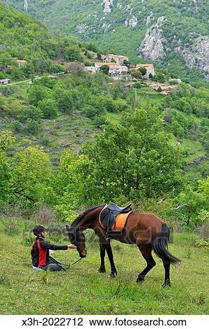 horse ride around Aulas in Cevennes mountains range, Gard department, Languedoc-Roussillon region, France, Europe. View Large Photo Image Stock Image - horse ride around Aulas in Cevennes mountains range, Gard department, Languedoc-Roussillon region, France, Europe.. Fotosearch