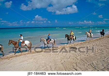 Horse riders on beach. Cayman Islands. Caribbean. UK View Large Photo Image Stock Image - Horse riders on beach. Cayman Islands. Caribbean. UK. Fotosearch