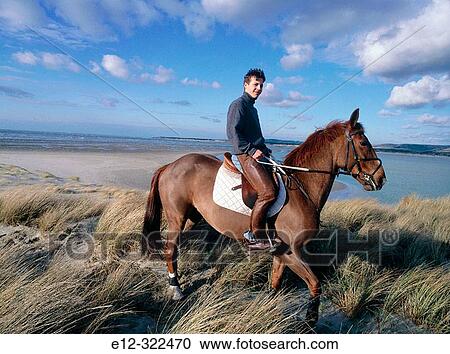 Horse riding on the beach. Le Touquet. Normandy, France View Large Photo Image Stock Image - Horse riding on the beach. Le Touquet. Normandy, France. Fotosearch