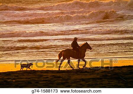 Horseback rider on beach San Francisco California USA View Large Photo Image Stock Image - Horseback rider on beach San Francisco California USA. Fotosearch