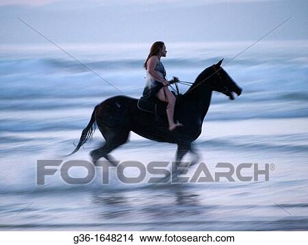 Horseback rider on the beach in Morro Bay, California, United States View Large Photo Image Picture - Horseback rider on the beach in Morro Bay, California, United States. Fotosearch