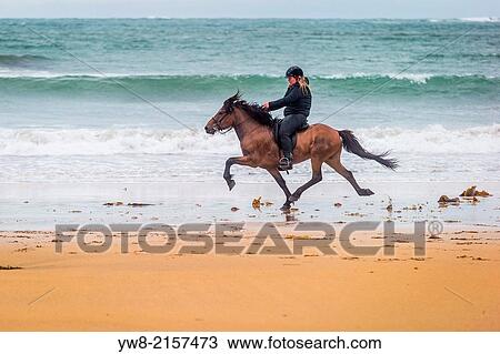 Horseback riding by the coast, Iceland. View Large Photo Image Stock Image - Horseback riding by the coast, Iceland.. Fotosearch