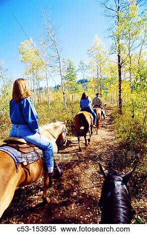 Horseback riding. View Large Photo Image Stock Photography - Horseback riding.. Fotosearch