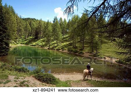Stock Image - Horseback trail riding by Laghetto delle Prese little lake from Serot lodge, Lagorai mountain range, Trentino-Alto Adige, Italy. Fotosearch