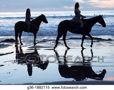Horses on the beach at sunset in Morro Bay, California View Large Photo Image Stock Photography - Horses on the beach at sunset in Morro Bay, California. Fotosearch