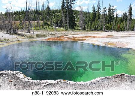 Hot Spring, West Thumb Geyser Basin, Yellowstone Lake, Yellowstone National Park, Wyoming, USA View Large Photo Image Stock Image - Hot Spring, West Thumb Geyser Basin, Yellowstone Lake, Yellowstone National Park, Wyoming, USA. Fotosearch