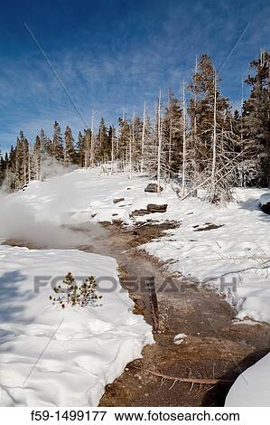 Hot Spring, Winter, Upper Geyser Basin, Yellowstone NP, WY View Large Photo Image Stock Photo - Hot Spring, Winter, Upper Geyser Basin, Yellowstone NP, WY. Fotosearch