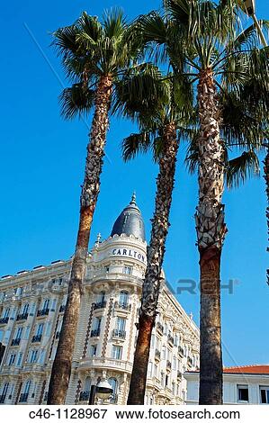 Hotel Carlton on Croisette Avenue. Cannes. Alpes-Maritimes. French Riviera. Provence. France. View Large Photo Image Stock Photo - Hotel Carlton on Croisette Avenue. Cannes. Alpes-Maritimes. French Riviera. Provence. France.. Fotosearch