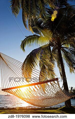 hotel intercontinental in tahiti island. View Large Photo Image Stock Photo - hotel intercontinental in tahiti island.. Fotosearch