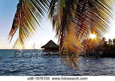 hotel intercontinental in tahiti island. View Large Photo Image Stock Photography - hotel intercontinental in tahiti island.. Fotosearch