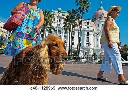 Hotel Negresco. Promenade des Anglais. Nice. Alpes Maritimes. Cote d? Azur. France. View Large Photo Image Stock Photo - Hotel Negresco. Promenade des Anglais. Nice. Alpes Maritimes. Cote d? Azur. France.. Fotosearch