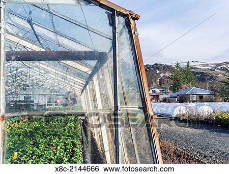 Stock Photograph - Hothouses, greenhouses in Hveragerdi in winter.. Fotosearch
