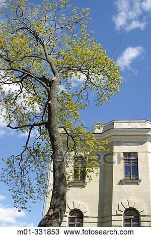 House. Helsinki. Finland View Large Photo Image Stock Image - House. Helsinki. Finland. Fotosearch