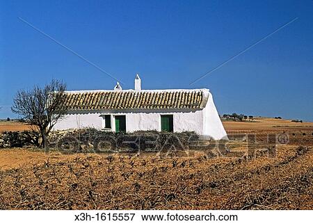 Stock Photo - house in vineyard around El Toboso, Province of Toledo, autonomous community Castile-La Mancha, Spain, Europe. Fotosearch