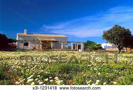 House of Formentera Formentera-The Balearic Islands Spain View Large Photo Image Stock Photo - House of Formentera Formentera-The Balearic Islands Spain. Fotosearch