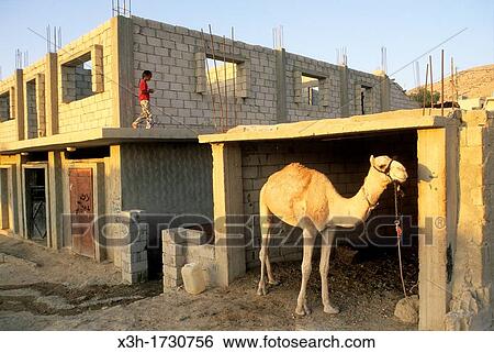 Stock Photograph - house under construction, village of Um-Sayhoun where are living the most part of Bedoins working on the Petra site, Jordan, Middle East, Asia. Fotosearch