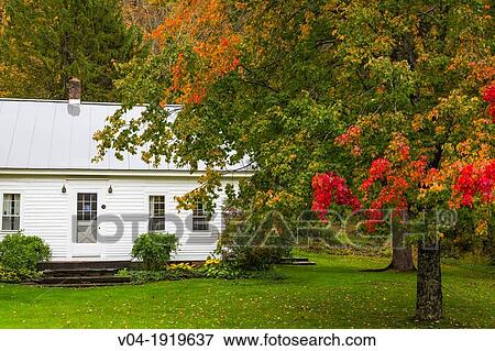 House with colorful trees in Strafford, Vermont, USA View Large Photo Image Stock Photo - House with colorful trees in Strafford, Vermont, USA. Fotosearch