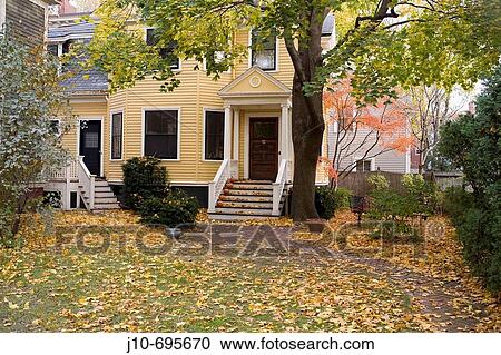 House with pumpkins and maples, autumn, Cambridge, MA, USA View Large Photo Image Stock Image - House with pumpkins and maples, autumn, Cambridge, MA, USA. Fotosearch
