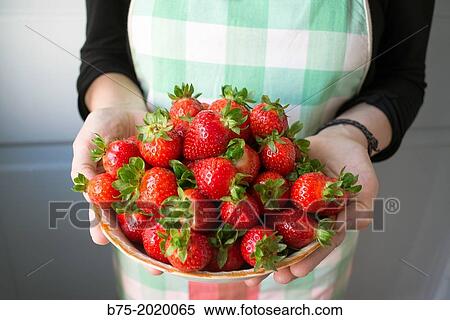 Housewife with a bowl of fresh strawberries View Large Photo Image Stock Photography - Housewife with a bowl of fresh strawberries. Fotosearch
