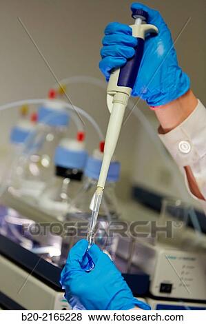 Stock Photo - HPLC. High-performance liquid chromatography. Fotosearch