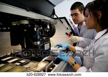 HTS colony picking. Biopharmaceutical lab, development of new therapeutic molecules based on human antibodies for the treatment of infectious and inflammatory diseases, Biotherapix, Grupo Genetrix, Madrid View Large Photo Image Stock Photo - HTS colony picking. Biopharmaceutical lab, development of new therapeutic molecules based on human antibodies for the treatment of infectious and inflammatory diseases, Biotherapix, Grupo Genetrix, Madrid. Fotosearch
