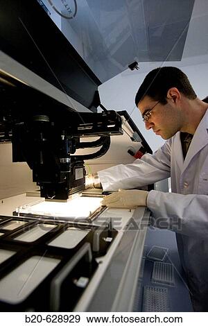 HTS colony picking. Biopharmaceutical lab, development of new therapeutic molecules based on human antibodies for the treatment of infectious and inflammatory diseases, Biotherapix, Grupo Genetrix, Madrid View Large Photo Image Stock Photo - HTS colony picking. Biopharmaceutical lab, development of new therapeutic molecules based on human antibodies for the treatment of infectious and inflammatory diseases, Biotherapix, Grupo Genetrix, Madrid. Fotosearch