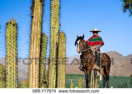 HUASO WEARING CHUPALLA HAT DON MAXIMIANO ESTATE VINA ERRAZURIZ WINERY ACONCAGUA VALLEY CHILE View Large Photo Image Picture - HUASO WEARING CHUPALLA HAT DON MAXIMIANO ESTATE VINA ERRAZURIZ WINERY ACONCAGUA VALLEY CHILE. Fotosearch