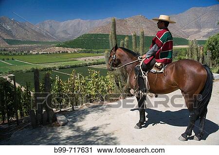 HUASO WEARING CHUPALLA HAT DON MAXIMIANO ESTATE VINA ERRAZURIZ WINERY ACONCAGUA VALLEY CHILE View Large Photo Image Stock Image - HUASO WEARING CHUPALLA HAT DON MAXIMIANO ESTATE VINA ERRAZURIZ WINERY ACONCAGUA VALLEY CHILE. Fotosearch