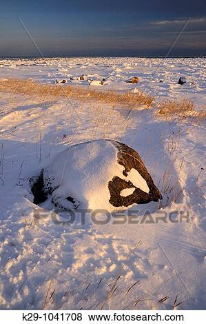 Hudson Bay shoreline in early winter View Large Photo Image Stock Photo - Hudson Bay shoreline in early winter. Fotosearch