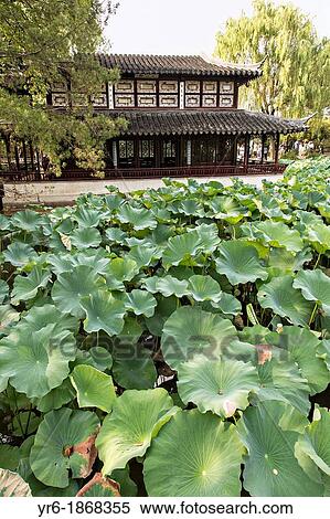 Stock Photography - Humble Administrator's garden in Suzhou, China. Fotosearch