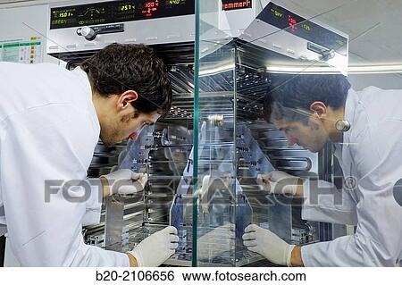Humidity oven. Equipment for heat treatment of Membranes. Membranes Laboratory. Tecnalia Research and Innovation. Donostia. San Sebastian. Gipuzkoa. Basque Country. Spain. Europe. View Large Photo Image Stock Photograph - Humidity oven. Equipment for heat treatment of Membranes. Membranes Laboratory. Tecnalia Research and Innovation. Donostia. San Sebastian. Gipuzkoa. Basque Country. Spain. Europe.. Fotosearch