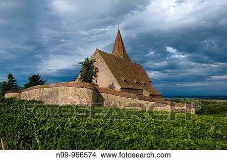 Hunawihr, fortified medieval church in the vineyards, Alsace View Large Photo Image Picture - Hunawihr, fortified medieval church in the vineyards, Alsace. Fotosearch