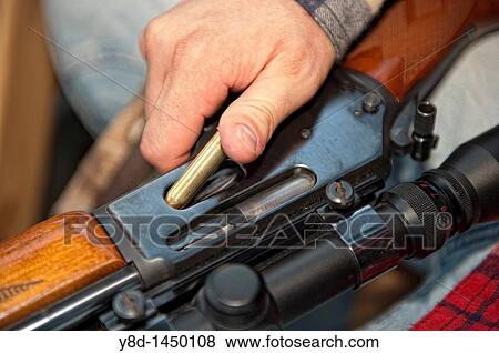 Hunter loading firearm hunting rifle with ammunition cartridge View Large Photo Image Stock Photo - Hunter loading firearm hunting rifle with ammunition cartridge. Fotosearch
