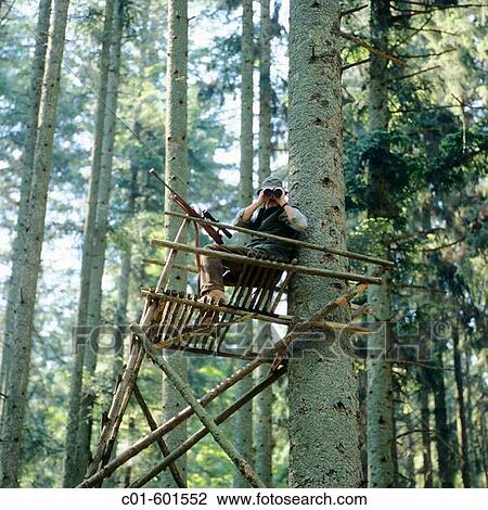 Hunter on a raised hide in the forest of the Vosges mountains, Alsace, France View Large Photo Image Stock Image - Hunter on a raised hide in the forest of the Vosges mountains, Alsace, France. Fotosearch