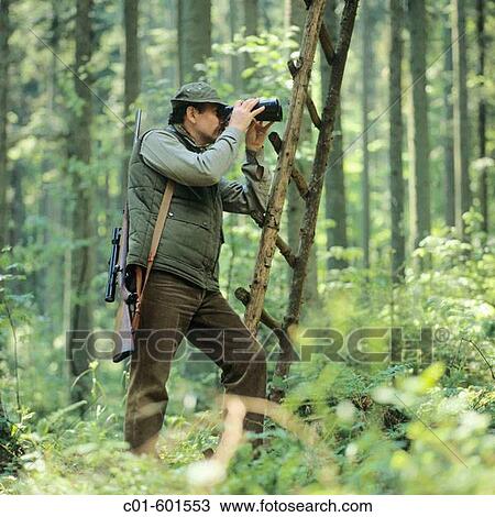 Hunter on a raised hide in the forest of the Vosges mountains, Alsace, France View Large Photo Image Stock Image - Hunter on a raised hide in the forest of the Vosges mountains, Alsace, France. Fotosearch