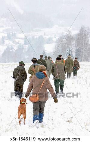 hunters at hunt View Large Photo Image Stock Photo - hunters at hunt. Fotosearch