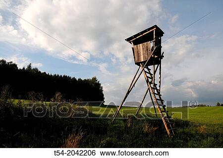 Hunters stand at the forest edge View Large Photo Image Stock Photograph - Hunters stand at the forest edge. Fotosearch
