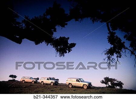 Stock Photo - Hunting party near Villanueva de la Concepci? n. Huelva province. Spain. Fotosearch