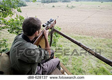 Stock Photo - Hunting. Fotosearch